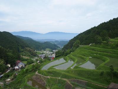 6月の奈良旅。1泊2日で紫陽花とカキ氷と棚田を楽しむ ③ ~ 飛鳥の棚田 ~