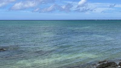 沖縄の初夏を満喫