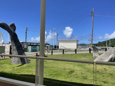 小笠原  女一人旅④