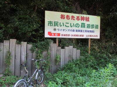 市民いこいの森遊歩道＠取手、ついにきてみまして