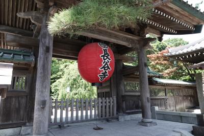 鎌倉 江の島 紫陽花2025　35℃の中巡りました