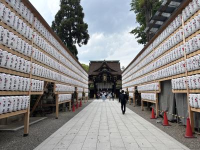 5月の京都へ。①飛行機で神戸空港経由で京都に行って、北野天満宮～上七軒～平野神社へ。。。。