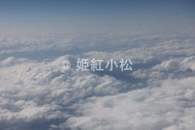 沖縄県(那覇市・西表島・石垣島)めぐる旅 (羽田空港から那覇市・龍神ホテル浮島)2025/04/06