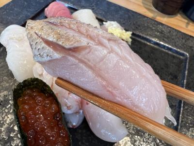 ソロトラベラー(どこかにビューーン de 新潟)♯521