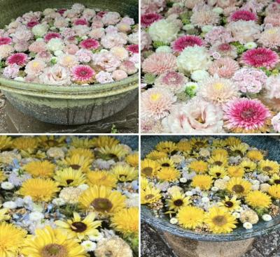 梅雨・関東も北上すれば晴れ模様３心癒される花手水街道