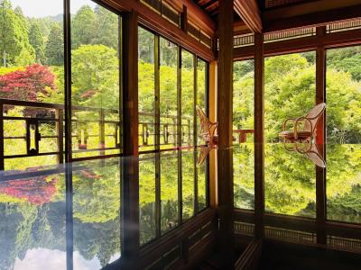新緑の青もみじが美しい「環境芸術の森｣  と あじさい祭りの｢見帰りの滝｣