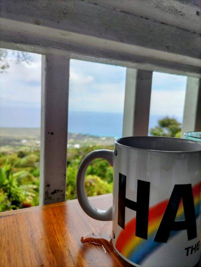 2024年5月 ハワイ島3日目　マウナケアの裾野 プウフルフルPu'u Huluhuluに登ってみた