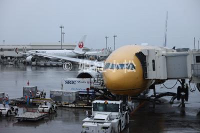 沖縄県(那覇市・西表島・石垣島)めぐる旅(沖縄本島から石垣島経由西表島) 2025/04/10