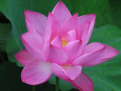 2025年 二度目の中国出張 (10) 蘇州市 その3 怡園と蘇州博物館