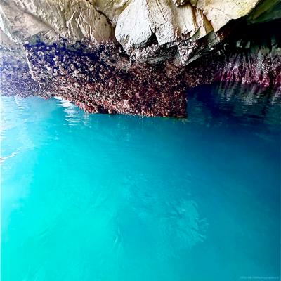 【奇跡の碧に逢いに行く】宮古・浄土ヶ浜で「碧の洞窟」潜入満喫の旅