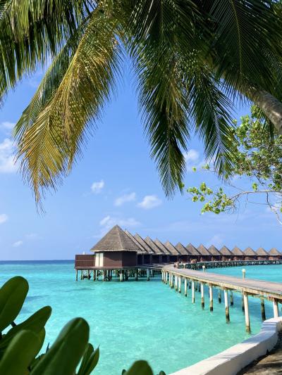 北マーレ環礁「ビーチ」に関する旅行記・ブログ【フォートラベル