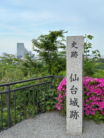 弾丸仙台旅～2025年春