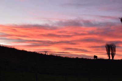 ニュージーランド南島ドライブ旅行2　オアマル