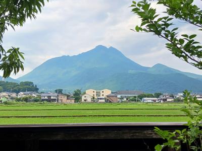 2025アルビサポ福岡遠征に同行する、由布院「六花」とゆふいんの森に乗る旅(由布院編)