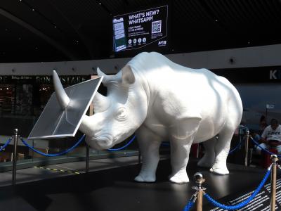 ▼2025 6月 南イタリア (11)▼