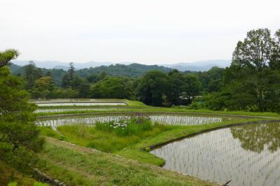 2025年梅雨の京都、涼を求めて西東　その１～平八茶屋と修学院離宮