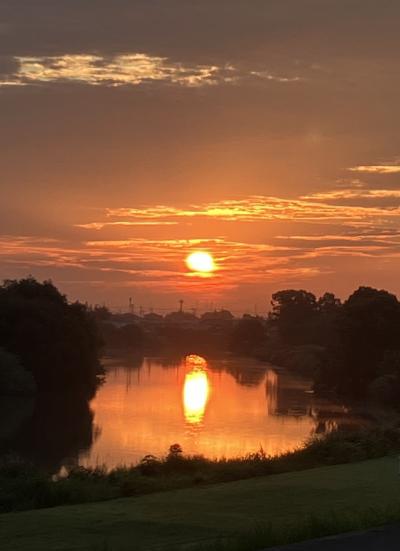 夏越の準備完了しました!