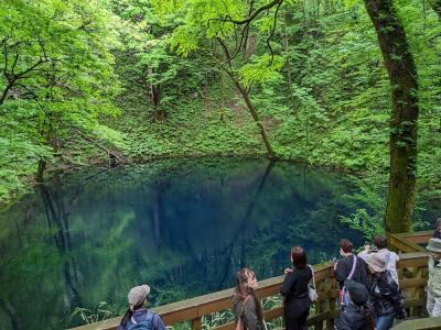 兄妹旅行　東北編　(山寺・角館・不老不死温泉)