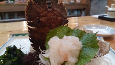 天然温泉シルクイン鹿児島　絶品さかなちゃん　鹿児島市内観光