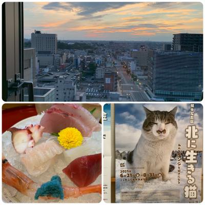 初めて高岡訪問でローカル線に戸惑いながらも猫写真展で癒される～