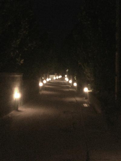 猫探し【沖縄】渡名喜島 編