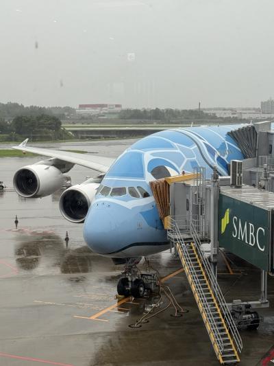 フライングホヌ ビジネスクラスで行く! ハワイ島&オアフ島でビッグバケーション ハワイ島篇①