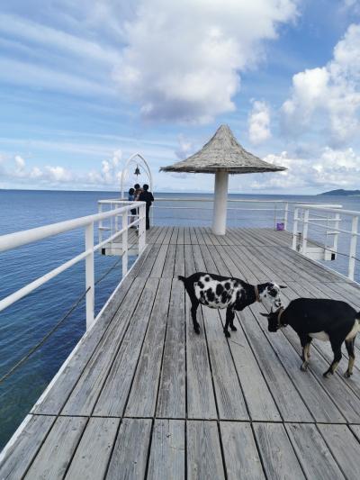 石垣島、竹富島のビーチに行ってみる!花もいっぱい