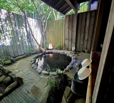 鹿児島温泉旅　宮之城温泉　手塚ryokan(1)