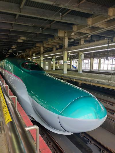 ☆ 17回目 大人の休日クラブ バス ☆ 2025年6月 仙台 作並温泉 小山 No. 1 仙台