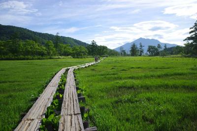 6月の尾瀬