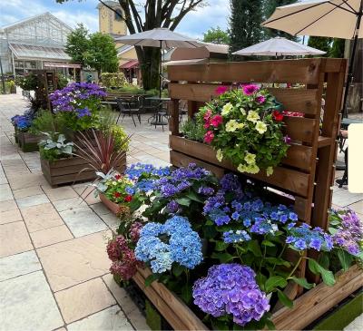 山梨再発見の旅２紫陽花いっぱいハーブ庭園・景色最高なフルーツ公園・武田神社も花手水