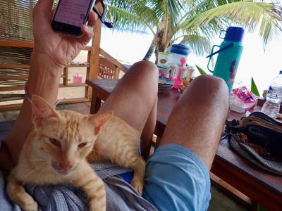 【タイさんの東南アジアの旅】帰りの船を逃しました。バンダ諸島、ハッタ島 7日目。