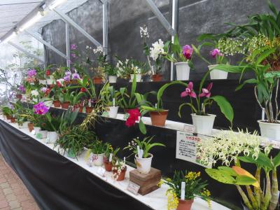 2025年日本の冬巡り(10)期待以上の秋田県立農業科学館 秋田の夜はちょっと残念