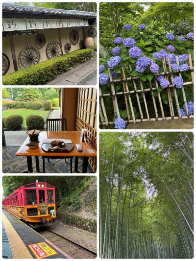 嵐山で紫陽花と京料理を味わう＆トロッコも…ひとり旅編！