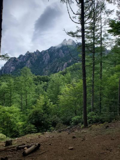 2025年6月 瑞牆山に登りました!