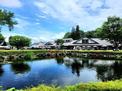 シニアトラベラー！川場田園プラザ&べに花の郷おけがわ満喫の旅