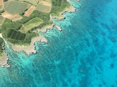 毎年恒例の宮古島2025年