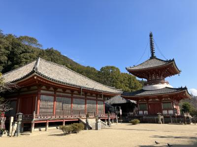 2025冬 山陽16：呉訪問予定が急遽 尾道さんぽ、映画『東京物語』と映画『転校生』のロケ地を巡る