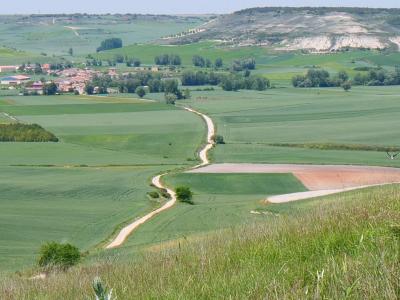 ピレネーを越え、メセタを往く 16日間の巡礼記　15/16 日目