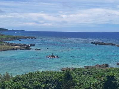 シニア夫婦　カメさんと泳ぐ　NO.1