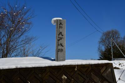 岩手県、青森県:一関陣屋、一関城、盛岡城、根城、九戸城(その5)