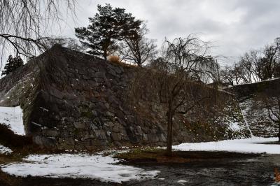 岩手県、青森県:一関陣屋、一関城、盛岡城、根城、九戸城(その6)