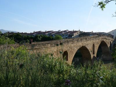 ピレネーを越え、メセタを往く 16日間の巡礼記　6/16 日目