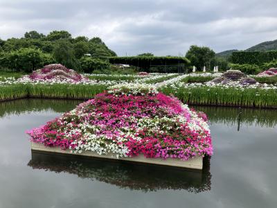 佐野・足利バスの旅　あしかがフラワーパーク