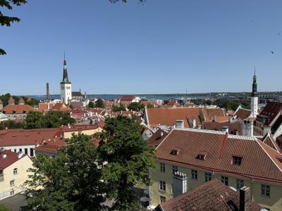 2025.6 北欧オトナの街歩きヘルシンキからタリンへひとり旅②