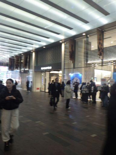 岩手県、青森県:一関陣屋、一関城、盛岡城、根城、九戸城(その7)