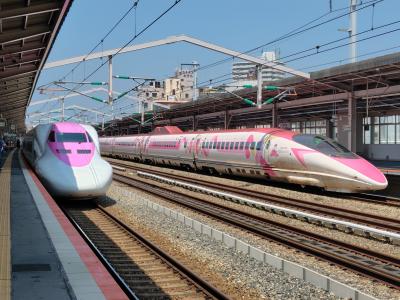ワンピース新幹線に乗る！トニートニーチョッパー号で岡山へ＠おバカ旅行健在