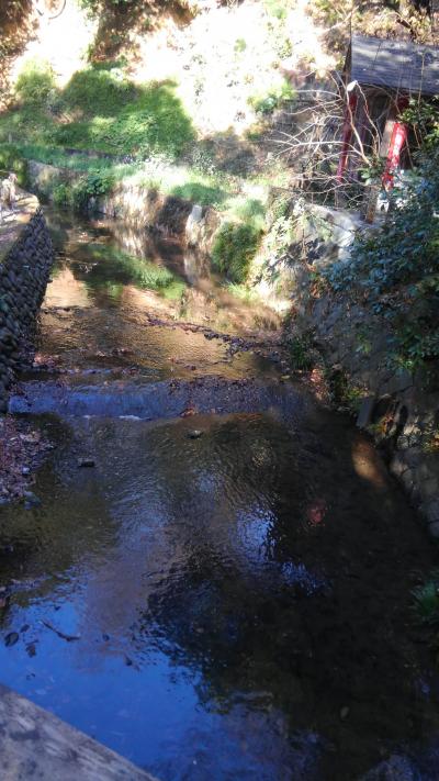 等々力周辺を散策する