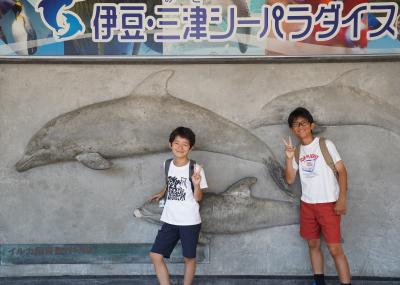 甥っ子たちを連れて伊豆・三津シーパラダイスへ