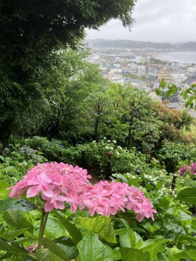 雨のなか初めて行った長谷寺